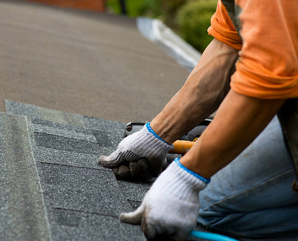 Roof Gutter Cleaning in Louisville, IL